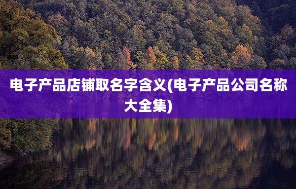 电子产品店铺取名字含义(电子产品公司名称大全集)