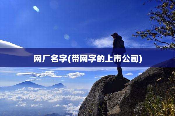 网厂名字(带网字的上市公司)