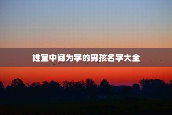 姓宣中间为字的男孩名字大全
