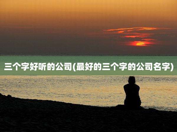 三个字好听的公司(最好的三个字的公司名字)