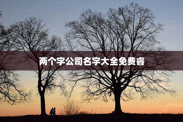 两个字公司名字大全免费睿