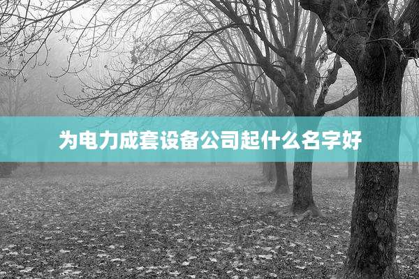 为电力成套设备公司起什么名字好
