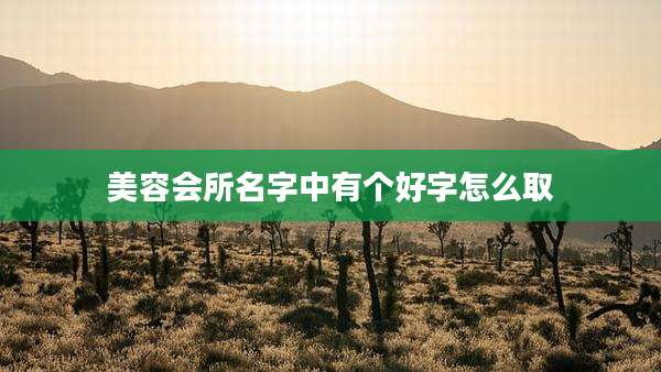 美容会所名字中有个好字怎么取