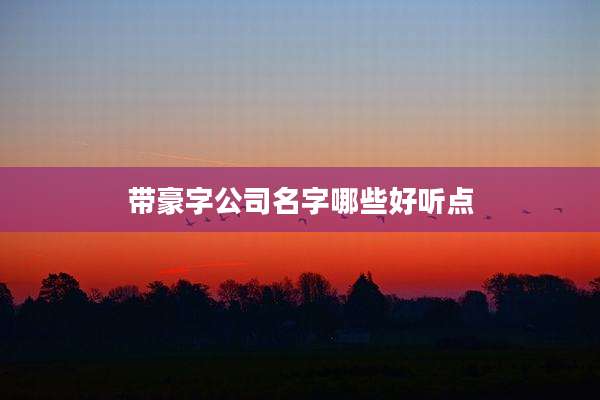 带豪字公司名字哪些好听点