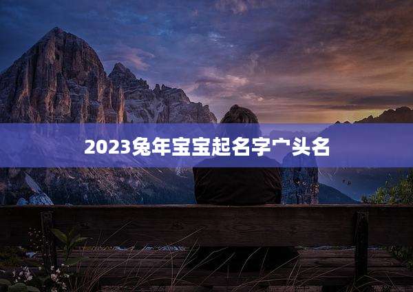 2023兔年宝宝起名字宀头名