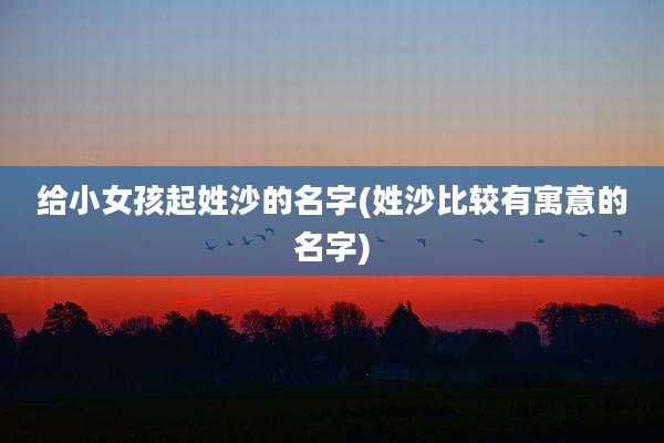 给小女孩起姓沙的名字(姓***较有寓意的名字)