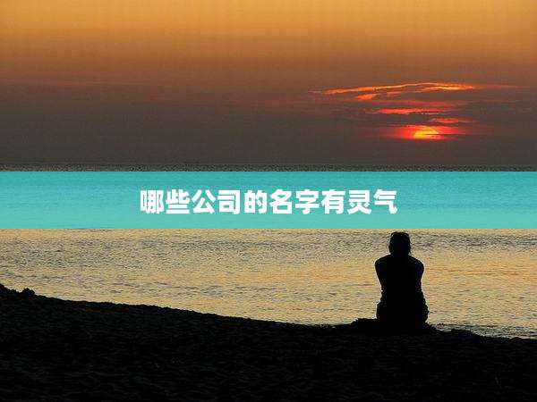 哪些公司的名字有灵气