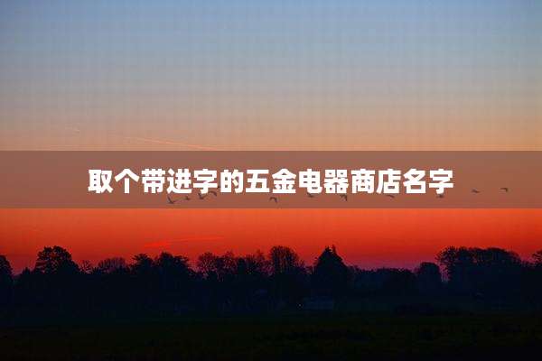 取个带进字的五金电器商店名字