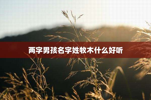 两字男孩名字姓牧木什么好听