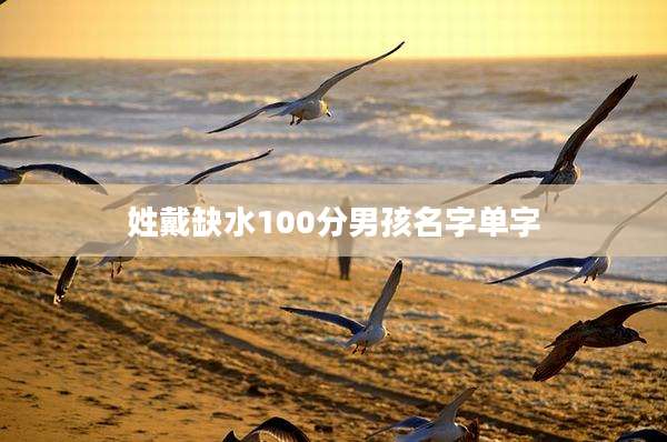 姓戴缺水100分男孩名字单字