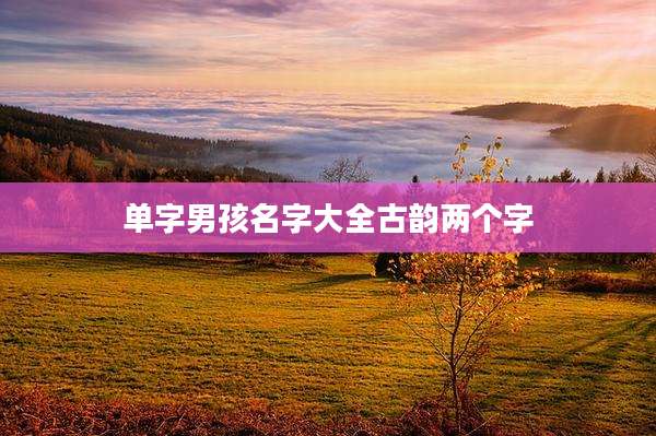 单字男孩名字大全古韵两个字