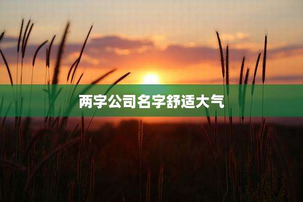 两字公司名字舒适大气