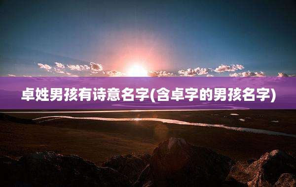 卓姓男孩有诗意名字(含卓字的男孩名字)