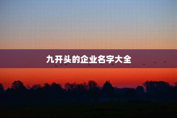 九开头的企业名字大全