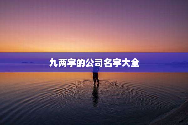 九两字的公司名字大全