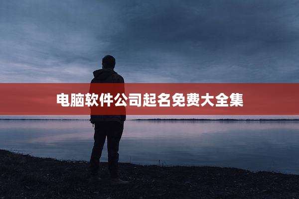 电脑软件公司起名免费大全集