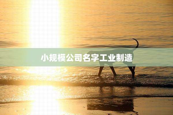 小规模公司名字工业制造