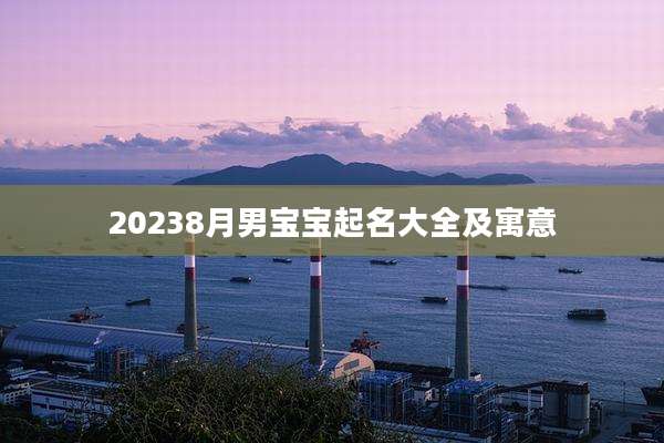 20238月男宝宝起名大全及寓意