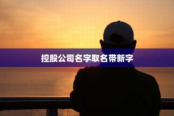 控股公司名字取名带新字
