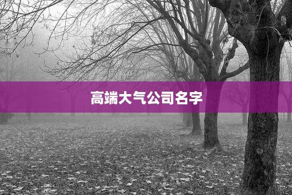 高端大气公司名字