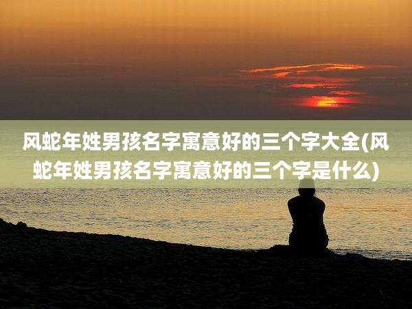 风蛇年姓男孩名字寓意好的三个字大全(风蛇年姓男孩名字寓意好的三个字是什么)