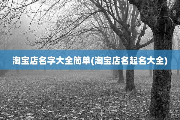 淘宝店名字大全简单(淘宝店名起名大全)