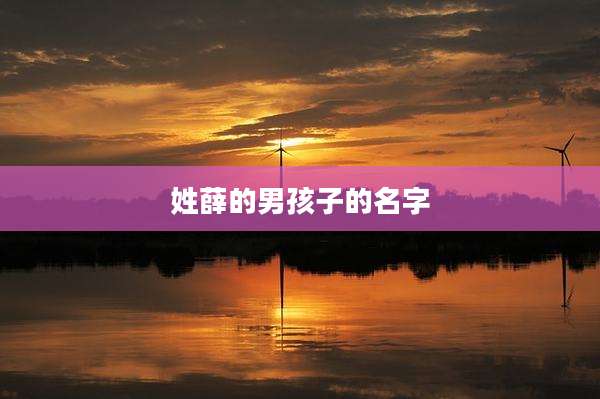姓薛的男孩子的名字