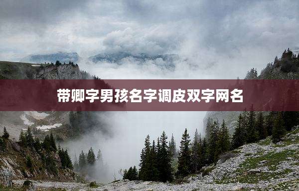 带卿字男孩名字调皮双字网名