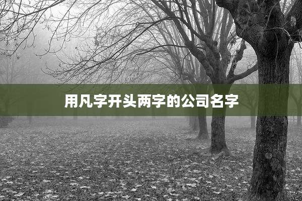 用凡字开头两字的公司名字
