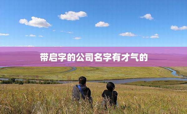 带启字的公司名字有才气的