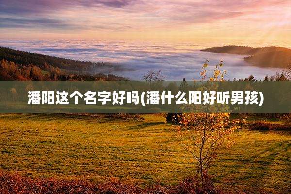潘阳这个名字好吗(潘什么阳好听男孩)