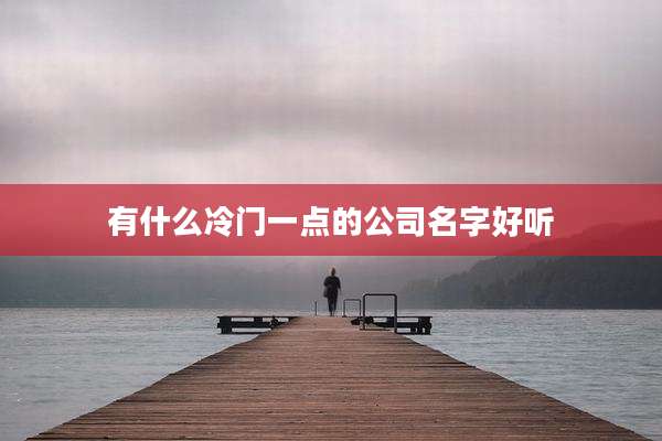 有什么冷门一点的公司名字好听