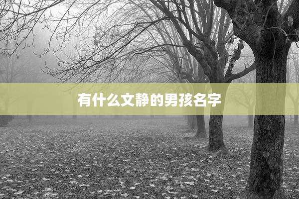 有什么文静的男孩名字