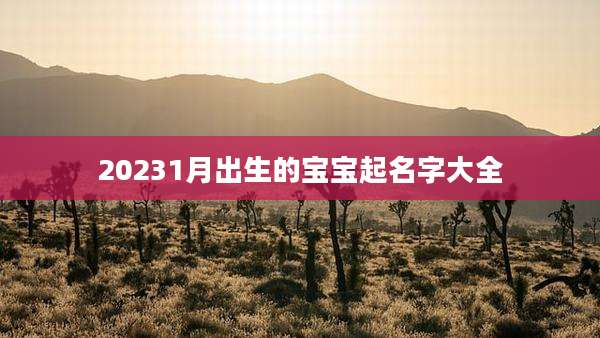 20231月出生的宝宝起名字大全