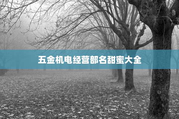 五金机电经营部名甜蜜大全