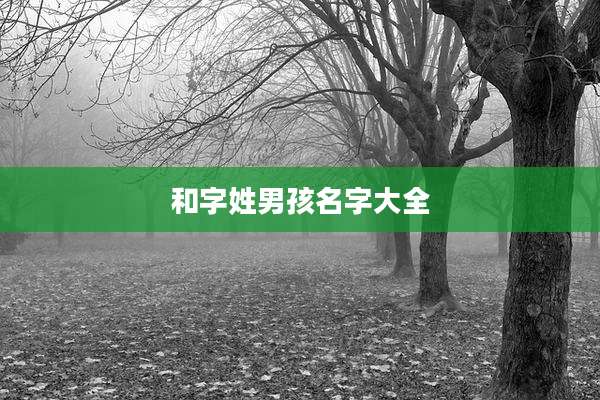和字姓男孩名字大全