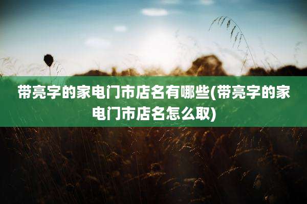 带亮字的家电门市店名有哪些(带亮字的家电门市店名怎么取)