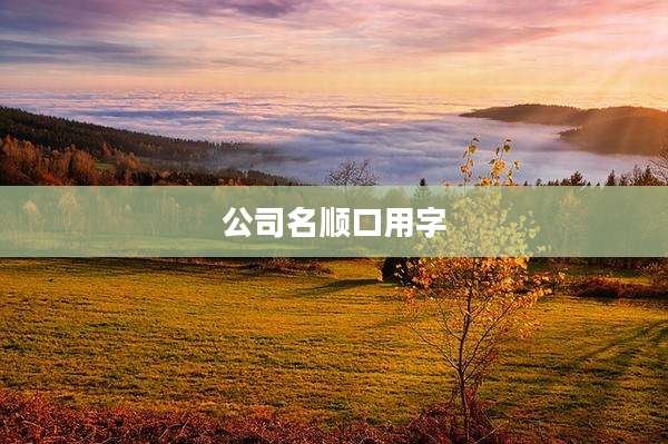 公司名顺口用字