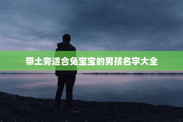 带土旁适合兔宝宝的男孩名字大全