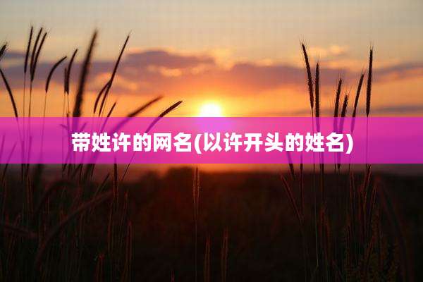 带姓许的网名(以许开头的姓名)