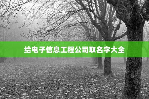 给电子信息工程公司取名字大全