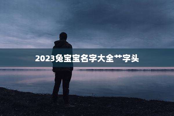 2023兔宝宝名字大全艹字头