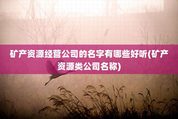 矿产资源经营公司的名字有哪些好听(矿产资源类公司名称)