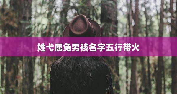 姓弋属兔男孩名字五行带火