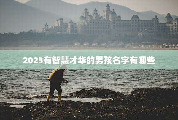 2023有智慧才华的男孩名字有哪些