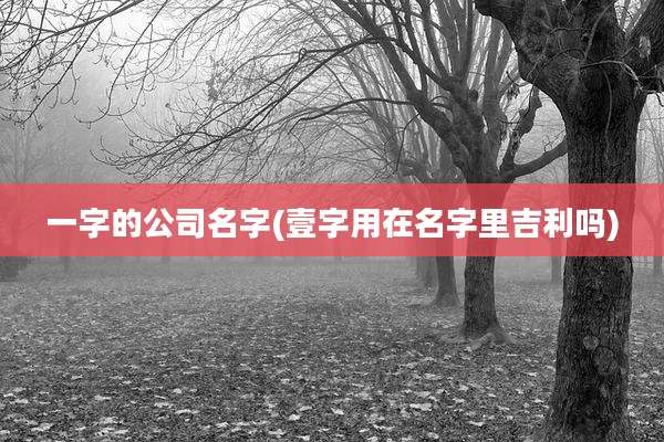 一字的公司名字(壹字用在名字里吉利吗)