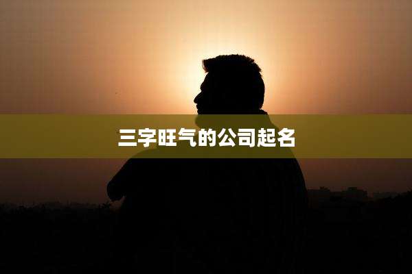 三字旺气的公司起名