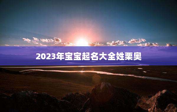 2023年宝宝起名大全姓栗奥