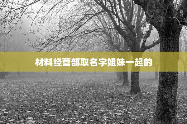 材料经营部取名字姐妹一起的