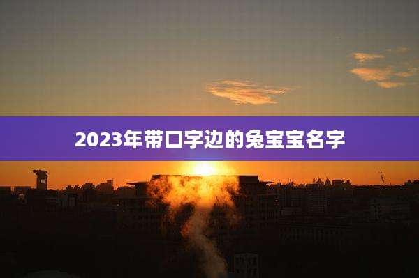 2023年带口字边的兔宝宝名字